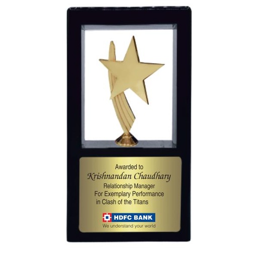 Wood & Metal Trophy WM 9889